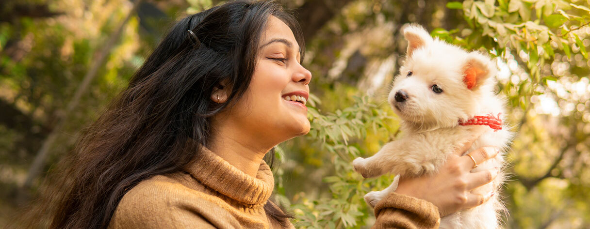 The Best Natural dog food