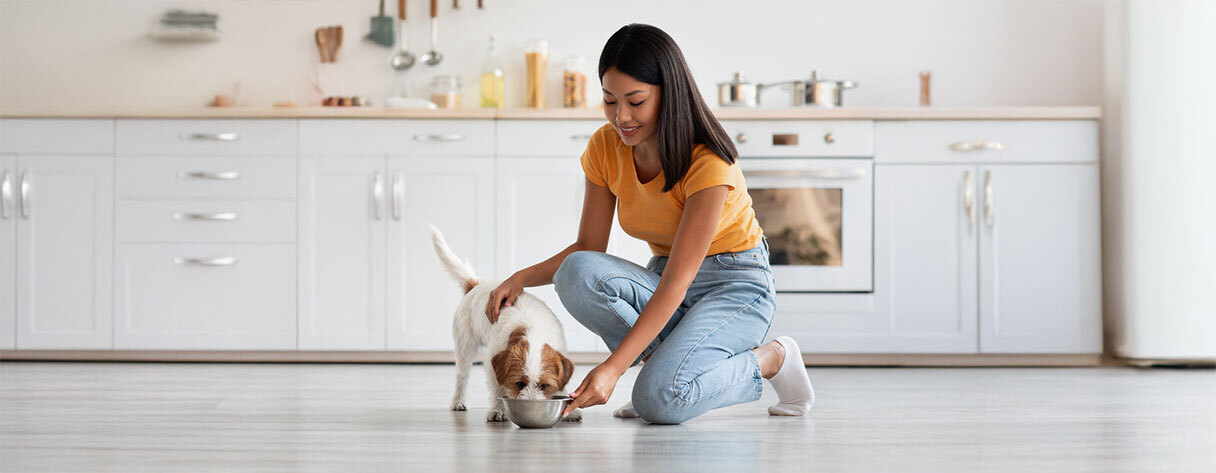 Convenient-to-cook-petfood (1)