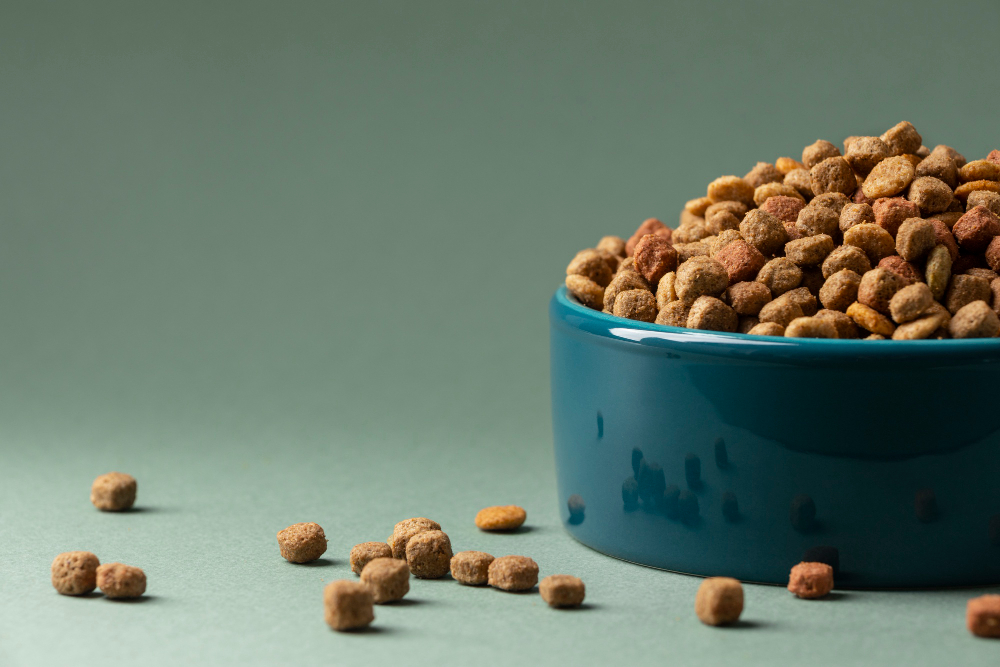 Processed Pet Food Why Bangalore Dog Parents are switching