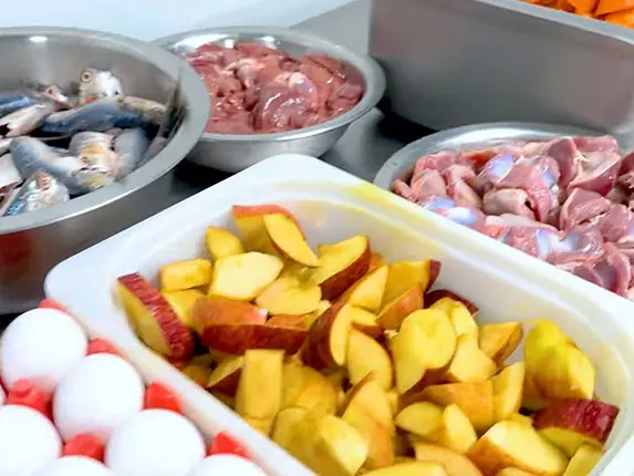 100% food ingredients pet food in India